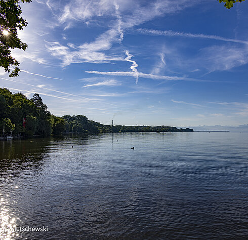 Ruhiger Blick über den Bodensee mit blauem Himmel, vereinzelten Wolken und Wasservögeln im Vordergrund.