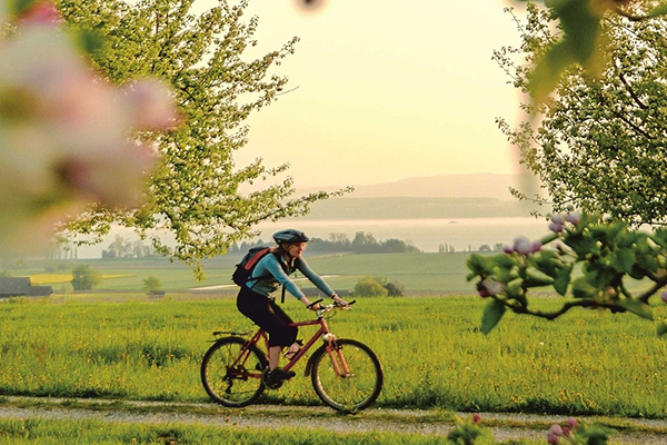 Frau mit Helm fährt auf einem Radweg durch blühende Landschaft mit Blick auf einen See bei Sonnenuntergang.