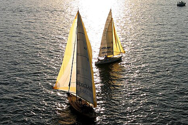 Segelboote auf dem Bodensee